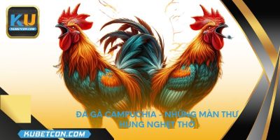 Đá gà Campuchia - Những màn thư hùng nghẹt thở