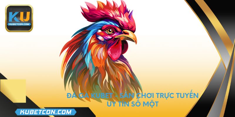 Đá gà Kubet - sân chơi trực tuyến uy tín số một