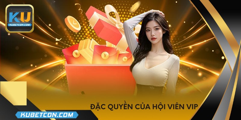 Đặc quyền của hội viên VIP
