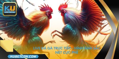 Live đá gà trực tiếp - Hình ảnh sắc nét cực phê