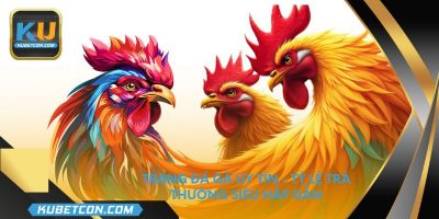 Trang đá gà uy tín - Tỷ lệ trả thưởng siêu hấp dẫn